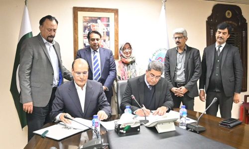 WhatsApp Image 2026-02-19 at 1.52.32 PM