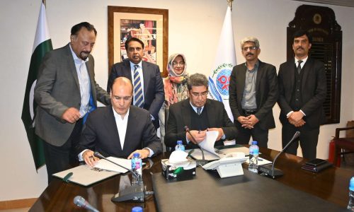 WhatsApp Image 2026-02-19 at 1.52.34 PM